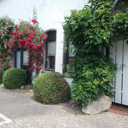 Altstadt-Apartment Petershagen Eksteriør billede