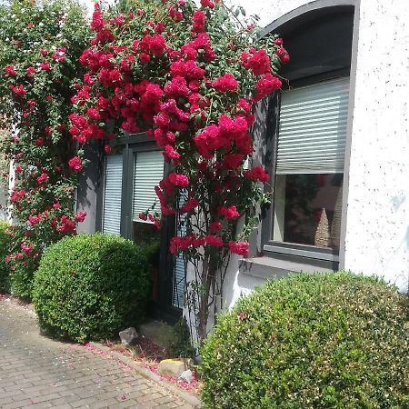Altstadt-Apartment Petershagen Eksteriør billede