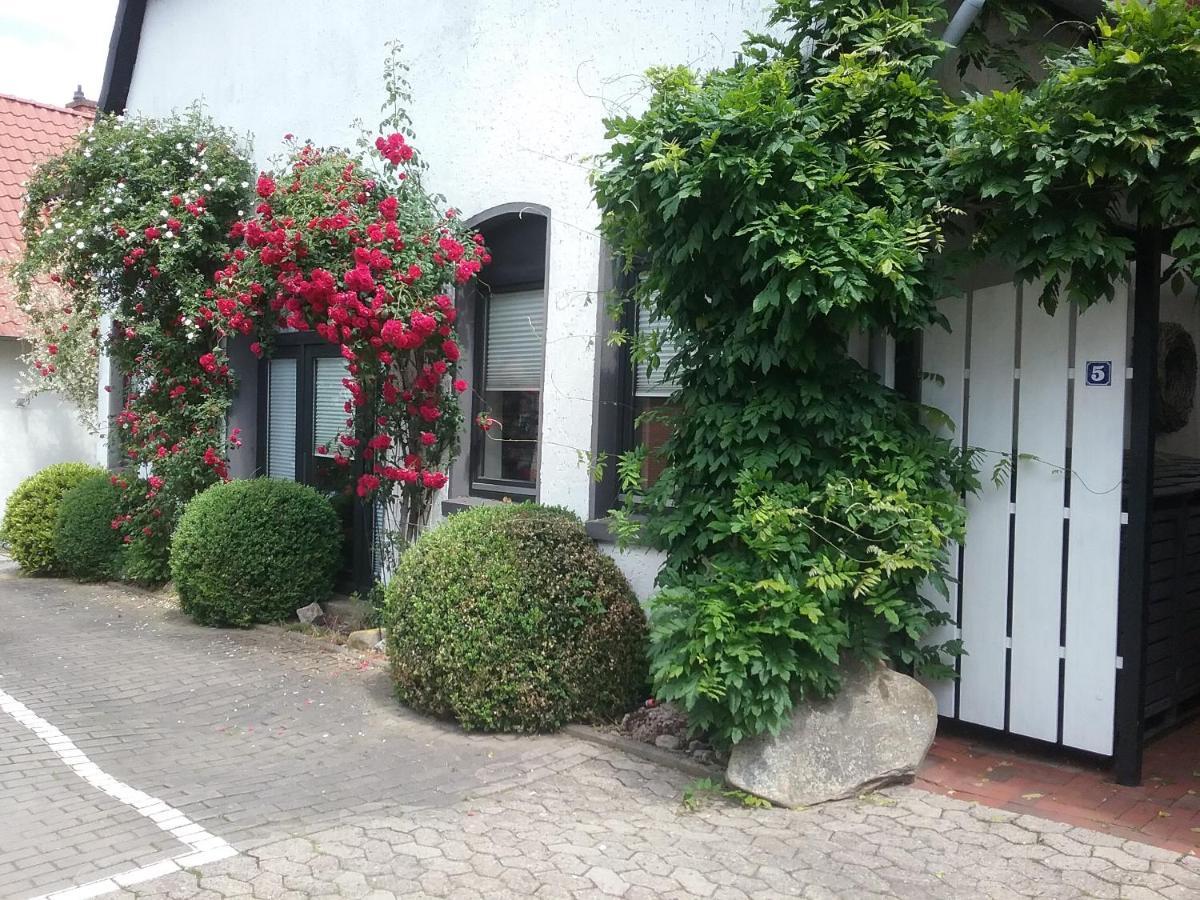 Altstadt-Apartment Petershagen Eksteriør billede