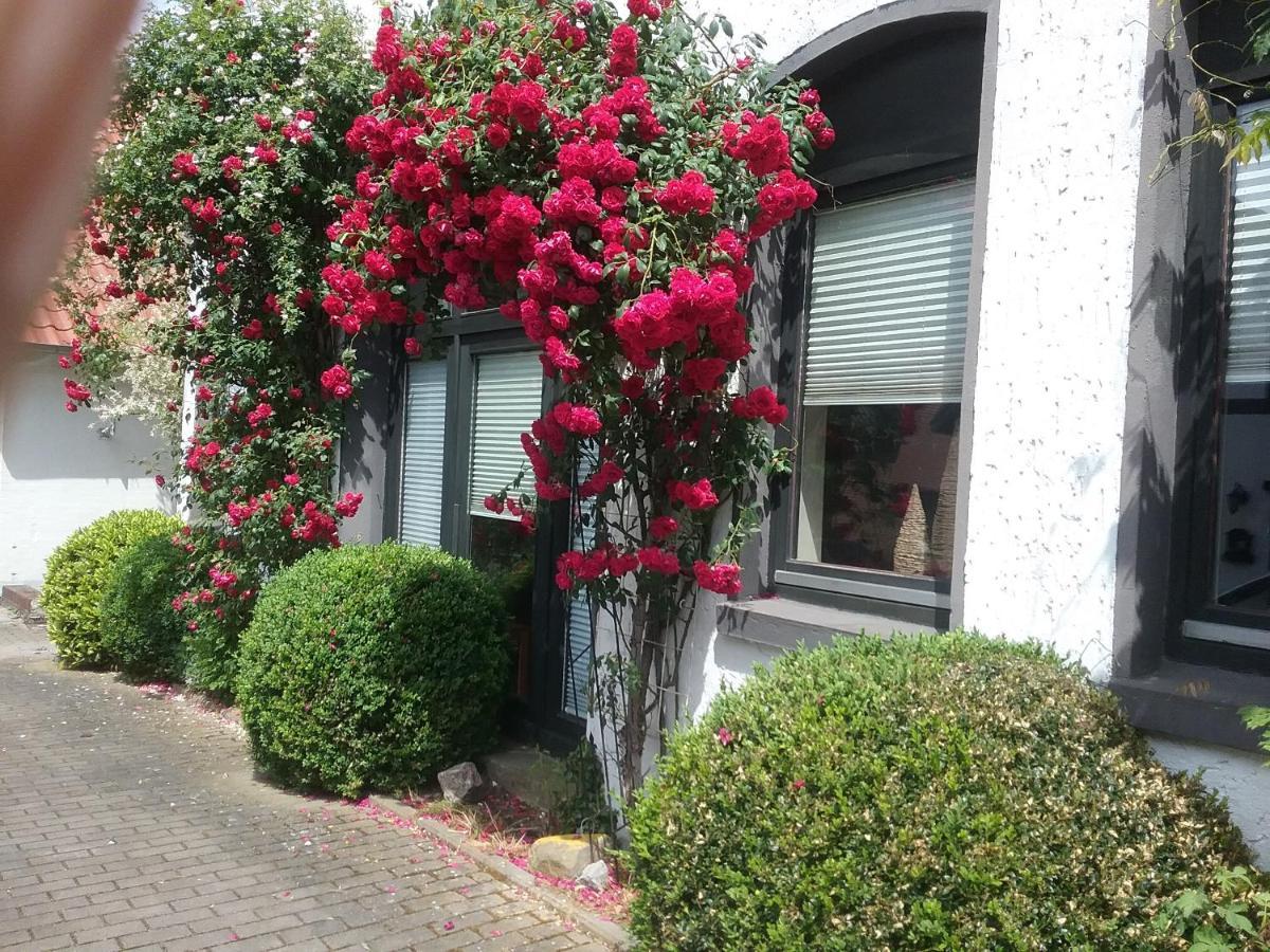 Altstadt-Apartment Petershagen Eksteriør billede